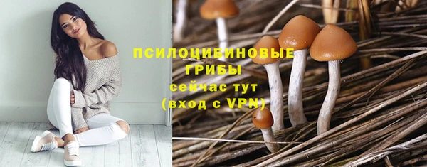 кристаллы Козловка
