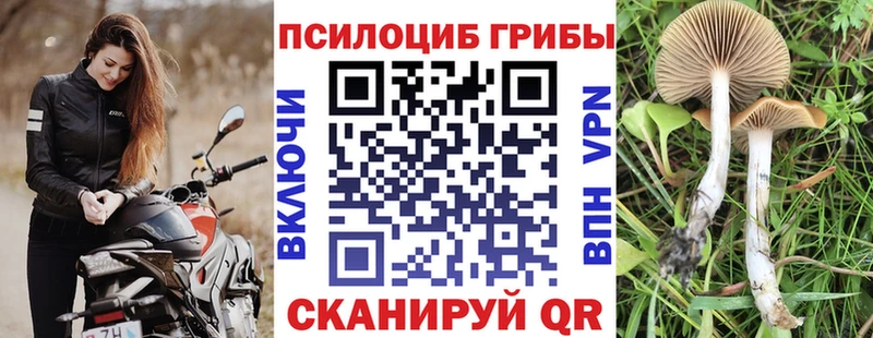 где купить   Спасск  блэк спрут как войти  Псилоцибиновые грибы ЛСД 